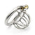 cage chasteté acier courte
